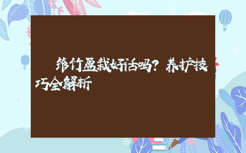  筇竹盆栽好活吗？养护技巧全解析